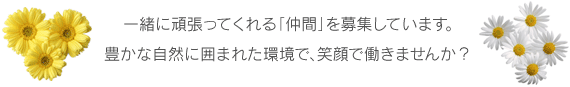 一緒に頑張ってくれる「仲間」を募集しています。豊かな自然に囲まれた環境で、笑顔で働きませんか？