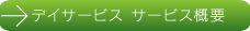 デイサービス サービス概要