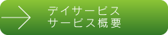 デイサービス・サービス概要